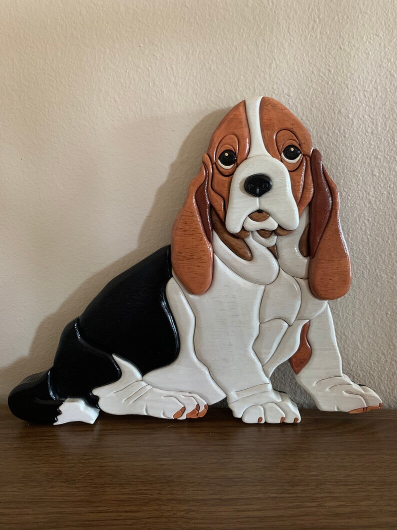 What Is A Basset Hound Made Of