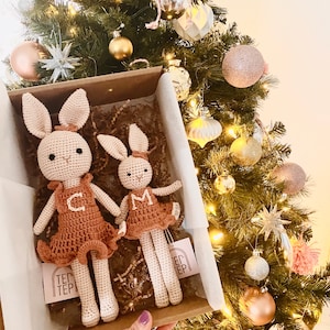 Boho Baby and Big Sister Gift Personalized Sibling Gift Gender Reveal to Older Sibling Toys Adoption Gift for Sibling Custom New Sister Gift