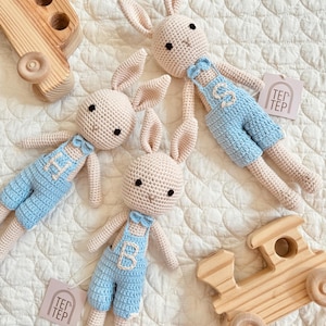 New Baby Boy Gifts Newborn Baby Boy Infant Boy Best Brothers Bunny Crochet Animal Dolls Cotton Plush Stuffed Animals Rabbit Amigurumi Doll