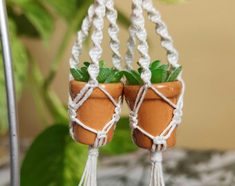 Macrame Plant Hanger Earrings: Terra-Cotta Pot Succulents
