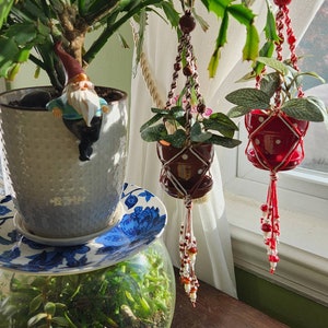 May include: Two hanging planters with red and white polka dot pots and macrame hangers. The pots are filled with green plants. The planters are hanging from a window with white curtains. A cactus plant is in a gray pot on a blue and white plate on top of a glass terrarium filled with green plants.