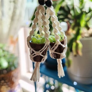 May include: Two small potted plants hang from a white macrame plant hanger. The plants are in brown pots and have green leaves.