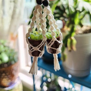 Makramee Pflanzenhänger: Sukkulente in kleinem handbemalten Topf