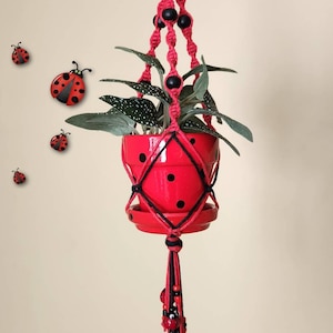May include: A red macrame plant hanger with black beads and a red pot with black polka dots. The hanger is hanging from a ceiling hook and has a tassel at the bottom. A small plant is in the pot.
