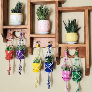 Puede incluir: Una estantería de madera con siete macetas colgantes. Las macetas están hechas de macramé y tienen diseños pintados de colores. Las plantas son pequeñas suculentas y son de varios colores, incluyendo rojo, morado, amarillo, azul, rosa y verde.