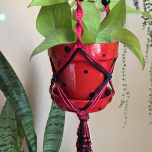 Portavaso sospeso in macramè a forma di coccinella / Vaso sospeso con perline / Regalo a tema coccinella per gli amanti delle piante