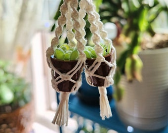Plant Hanger Earrings - Miniature Macrame Hanging Plant Earrings - Unique Gifts For Plant Lovers - Succulent Earrings - Garden Earrings