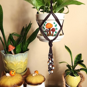 caring for an philodendron rugosum Philodendron rugosum  Thick, Bullate 'Pig Skin' Leaves