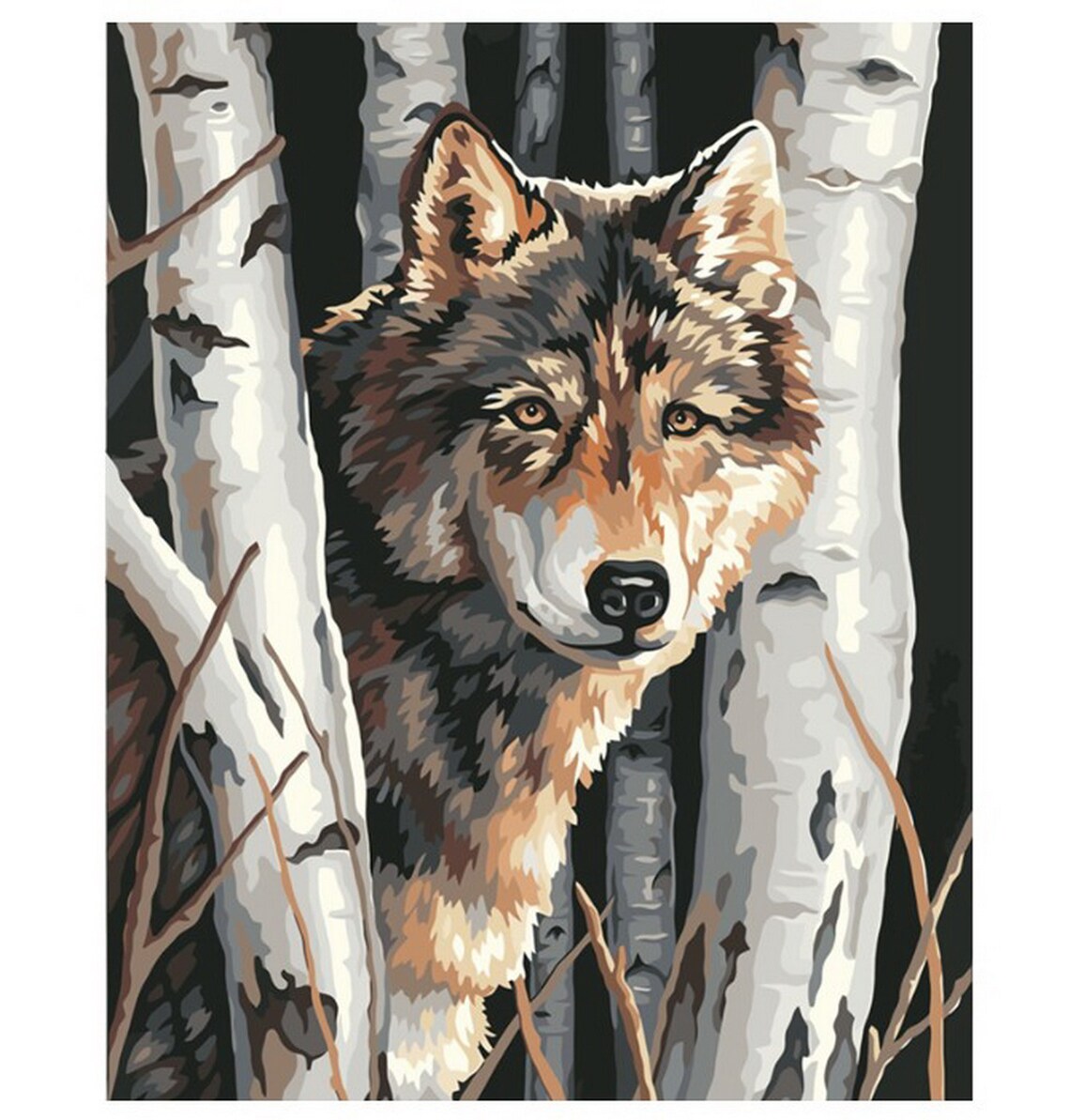 19.69x15.75 Wolf Birch Tree Forest DIY Painting by Etsy