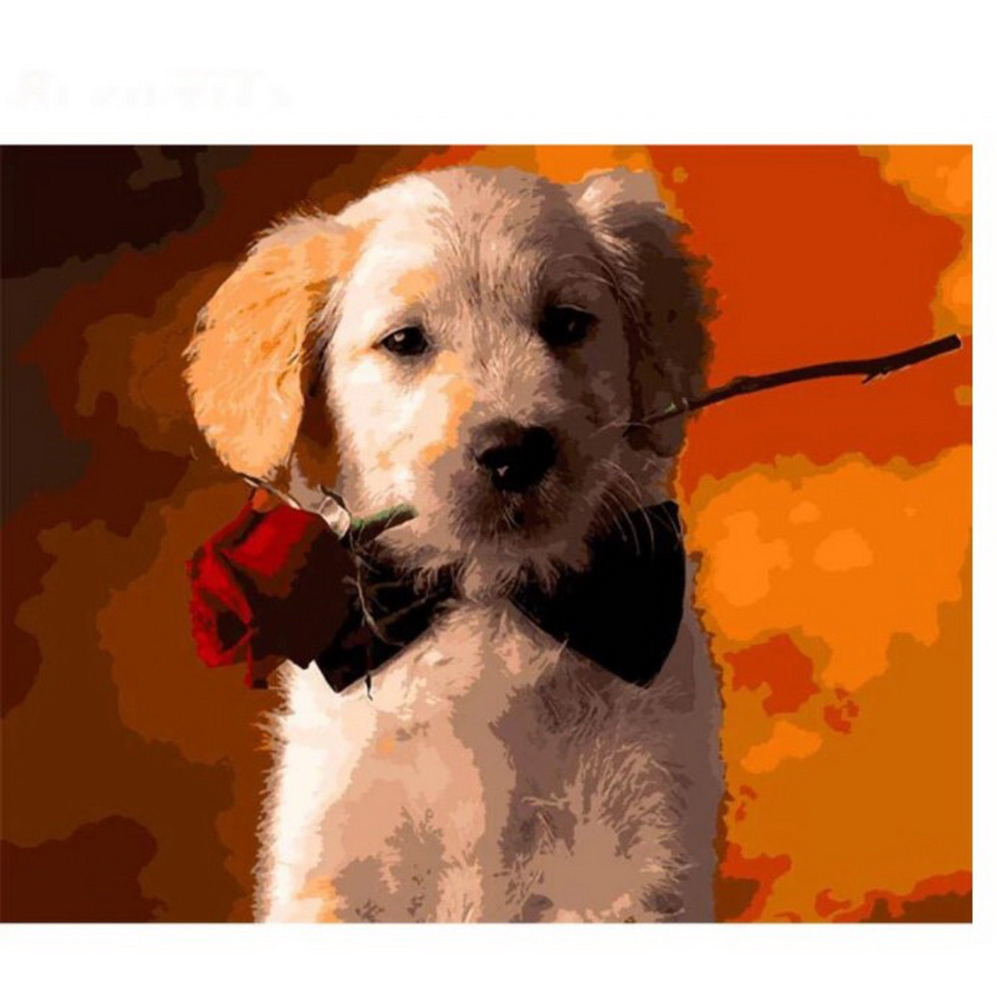 19.69x15.75 Dog Puppy DIY Painting By Numbers PBN Wall Etsy