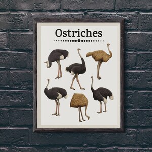 Ostrich Art Print Somali Bird Poster Wildlife Wall Decor Modern Ostrich Illustration Safari Nursery Art Gift for Birdwatcher