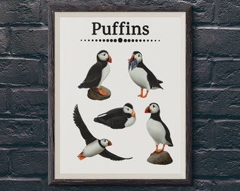 Puffin Print /  Puffin Poster / Puffin Bird Wall Art / Puffin Collection / Animal Modern Wall Art / Bird Poster