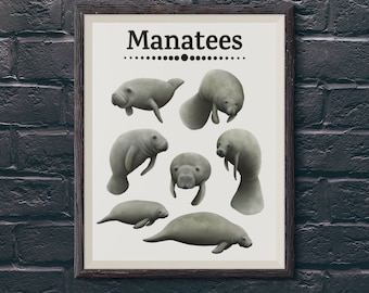 Seekuh Kunstdruck Seekuh Illustration Marine Leben Wohnkultur Poster Küsten Thema Wand Kunst Ozean Tier Bild Geschenk für Manatee Liebhaber