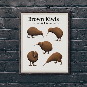 Kiwi Bird Art Print Póster de vida silvestre de Nueva Zelanda Ilustración de kiwi marrón Decoración de pared moderna Regalo para observador de aves Conjunto de 3