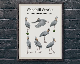 Schuhschnabel Storch Druck Exotischer Vogel Wandkunst Minimalistisches Poster Wildtiere Wohnkultur Einzigartiges Tier Illustration Kunstdruck