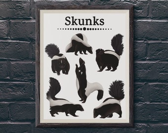 Skunk Art Print Realistic Animal Illustration Black and White Wall Decor Forest Creature Wall Hanging Gift for Wildlife Enthusiast
