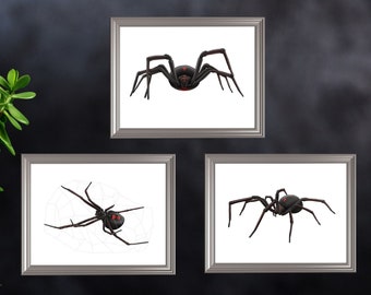 CELLYONE MEEKIS Black Widow Vorgedruckte Leinwandkunst von Digital Painting Shop Hotelfamilie Sonderdekoration 40x50cm