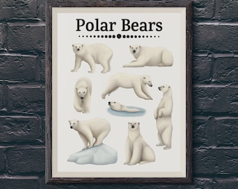 Polar Bear Print /  Polar Bear Poster / Polar Bear Wall Art / Polar Bear Collection / Animal Modern Wall Art