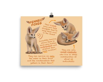 Renard Bebe Fennec Etsy Renard Bebe Fennec Etsy