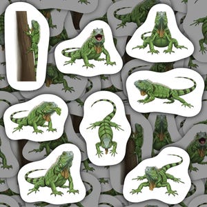 Leguanklistermärken Vinyldekaler Vattentäta Brevpapper Vildlivsdekor Reptilpresent För Ödleälskare Scrapbooking Vattenflaska Laptopkonst
