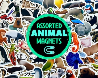 Dierenmagneetpakket diverse waterdichte magnetische stickers Cadeau voor natuurliefhebber Briefpapier voor natuurliefhebber Wildernis Decor Dierentuinmagneten