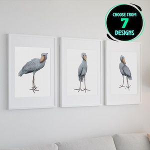 Shoebill Stork Art Prints Set African Wetland Bird Wall Art Safari Nursery Decor Wildlife Poster Birdwatcher Gift Set of 7