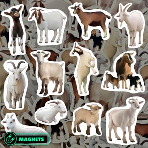 Goat Magnet Set Farm Animal Kitchen Decor Cute Goat Illustration Waterproof Vinyl Fridge Magnetic Art Country Home Gift for Goat Enthusiast