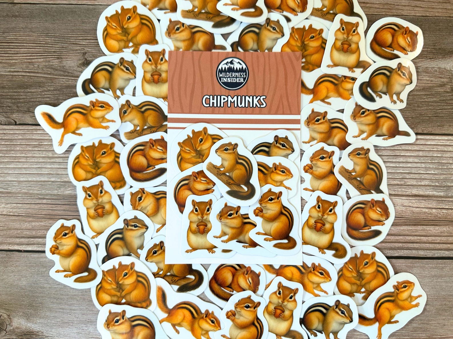Chipmunk Stickers Vinyl Decals Waterproof Wildlife Stationery Gift for ...