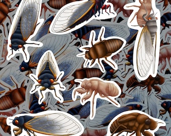 Cicada Sticker Pack Waterproof Vinyl Decal Insect Stationery Gift For Bug Lover Sticker Set For Water Bottle Laptop Nature Journal