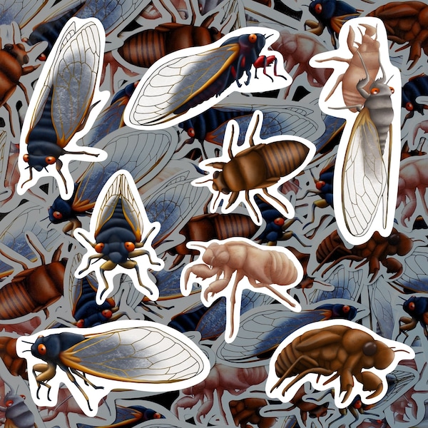 Cicada Sticker Pack Waterproof Vinyl Decal Insect Stationery Gift For Bug Lover Sticker Set For Water Bottle Cicada Life Cycle Laptop Decor