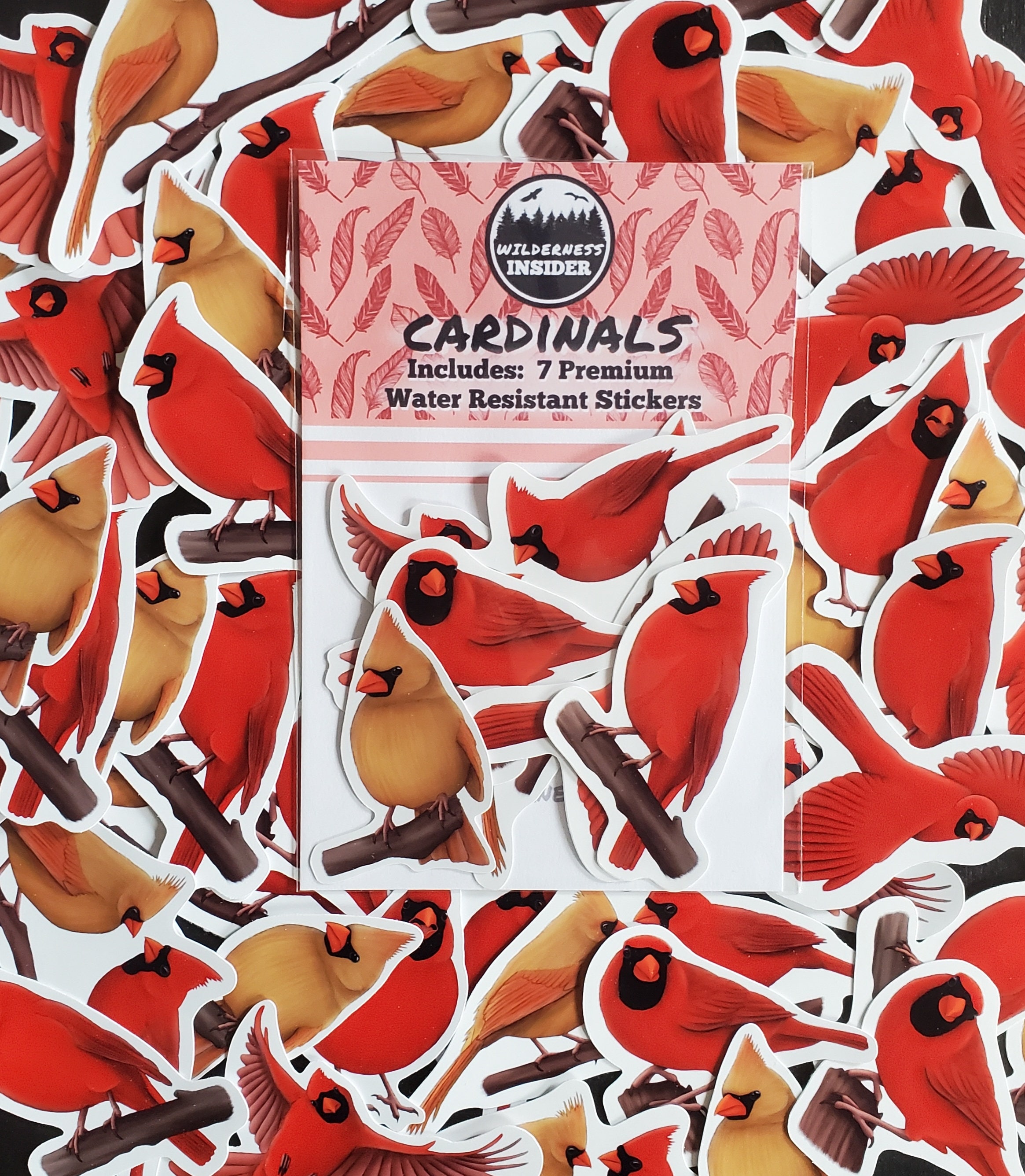 Cardinal Sticker Set Red Bird Decals Birdwatcher Gift Waterproof Vinyl ...