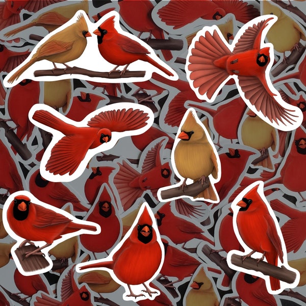 Ensemble d'autocollants Cardinal Stickers oiseaux rouges Cadeau pour ornithologue...