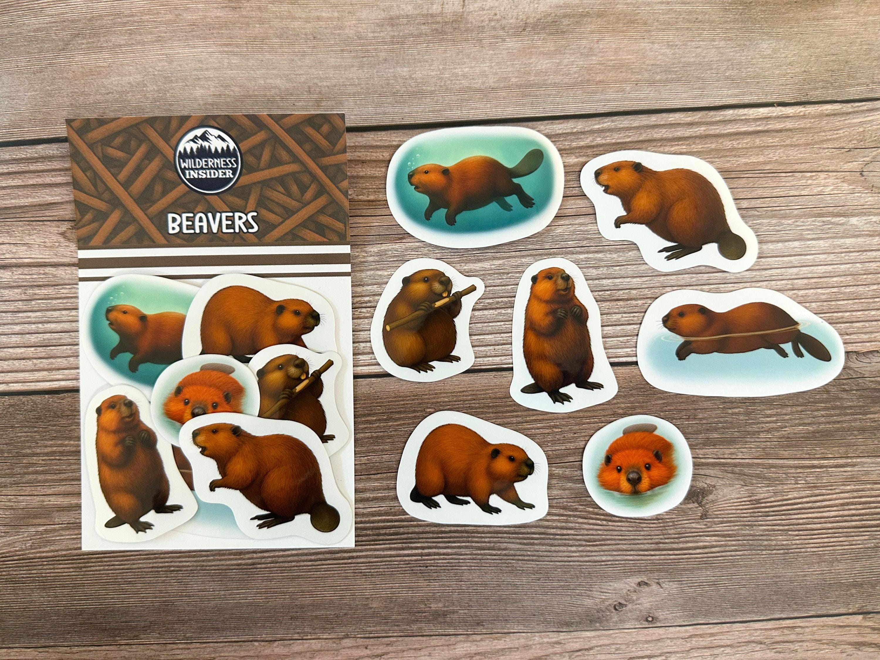 Beaver Stickers Vinyl Decals Waterproof Stationery Gift for Wildlife ...