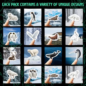 May include: A collection of stickers featuring various arctic animals, including a polar bear, penguin, and arctic fox. Each sticker is held up by a finger, showcasing the unique designs. The text "EACH PACK CONTAINS A VARIETY OF UNIQUE DESIGNS" is at the top.