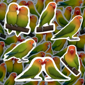 Adesivi per uccelli innamorati, adesivi per uccelli innamorati, adesivi in vinile impermeabili a tema aviario, cancelleria per amanti degli uccelli, set di adesivi per uccelli esotici, regalo per genitori di uccelli