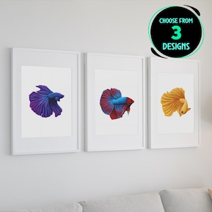 Peut inclure: Trois impressions encadrées de poissons combattants, chacune avec une couleur différente : violet, rouge et jaune. Le texte « Choisir parmi 3 designs » est dans un cercle en haut de l’image.