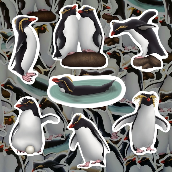 Rockhopper Penguin Sticker Pack Antarctic Wildlife Decals Waterproof Vinyl Rock Hopper Penguin Lover Gift For Bird Enthusiast Stationary