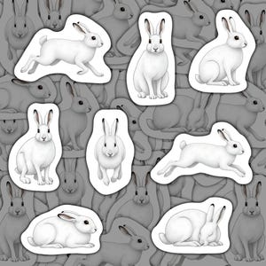 Adesivi Lepre Artica Coniglio Bianco Decalcomanie in Vinile Impermeabili Fauna Selvatica Artica Regalo di Cancelleria per gli Amanti dei Conigli Pacchetto di Adesivi per Bottiglie d&#39;Acqua