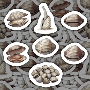 May include: A collection of stickers featuring detailed illustrations of clams. The stickers showcase clams in various states, including open shells revealing the inner flesh, and a clam with its siphon extended. The color palette is primarily brown and beige.