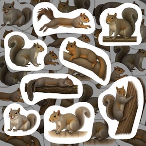 Östliche Graue Eichhörnchen Aufkleber Vinyl Aufkleber Wasserdicht Wildlife Schreibwaren Geschenk für Naturliebhaber Eichhörnchen Aufkleber Set Scrapbooking Decor