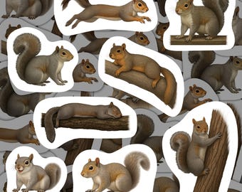 Eastern Gray Squirrel Stickers Vinyl Decals Waterproof Wildlife Stationery Gift for Nature Lovers Squirrel Sticker Set Scrapbooking Decor