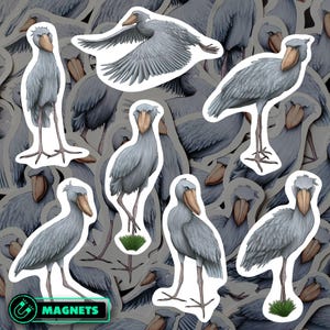 Shoebill Stork Magnet Set Waterproof Vinyl Bird Magnets for Refrigerator Wildlife Kitchen Decor Gift for Shoebill Lover and Nature Fans