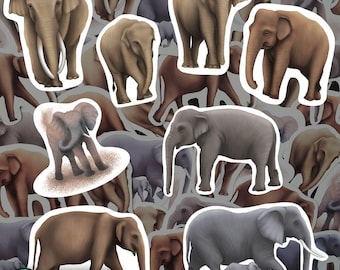 Elephant Magnet Set Waterproof Vinyl Animal Magnets for Refrigerator Safari Wildlife Kitchen Decor Gift for Elephant Lover