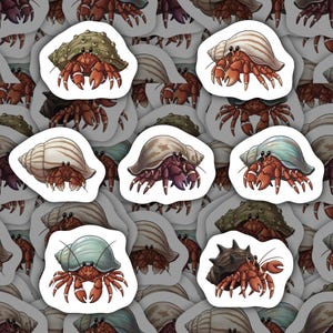 May include: A collection of stickers featuring detailed illustrations of hermit crabs. The crabs have red bodies and claws, with various shell designs in shades of brown, green, and white. The stickers are on a white background.