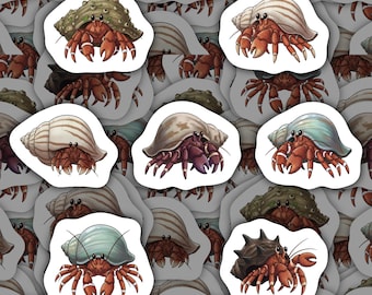 May include: A collection of stickers featuring detailed illustrations of hermit crabs. The crabs have red bodies and claws, with various shell designs in shades of brown, green, and white. The stickers are on a white background.
