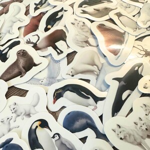 May include: A collection of animal stickers featuring various arctic and marine creatures. The stickers include polar bears, seals, penguins, orcas, arctic foxes, and other wildlife. The stickers are white-bordered and have a glossy finish.