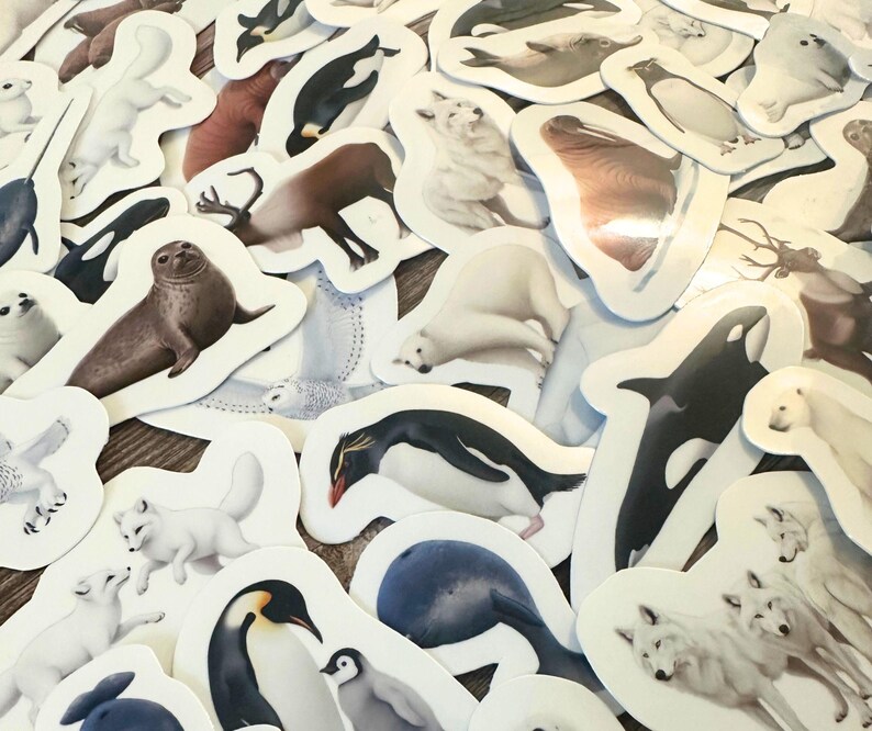 May include: A collection of animal stickers featuring various arctic and marine creatures. The stickers include polar bears, seals, penguins, orcas, arctic foxes, and other wildlife. The stickers are white-bordered and have a glossy finish.