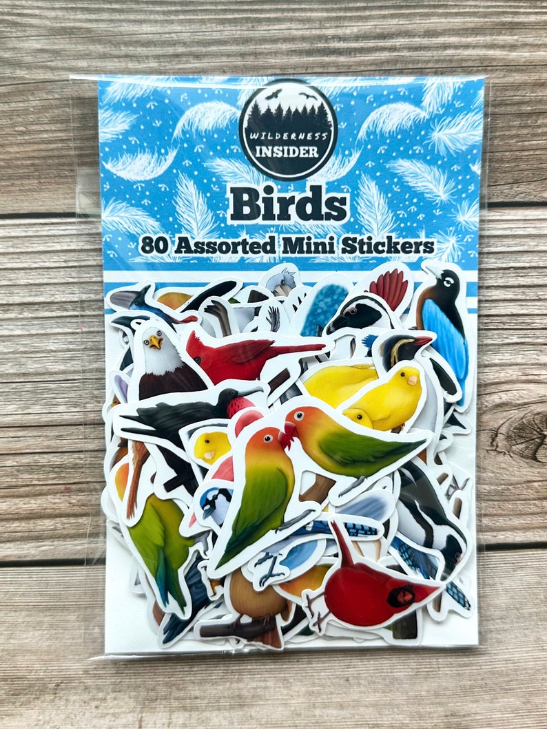 Assorted Bird Stickers, Waterproof Vinyl Decals, Variety - Etsy