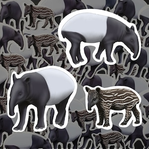 Malayan Tapir Sticker Pack Exotic Animal Decals Waterproof Vinyl Tapir Lover Gift For Wildlife Enthusiast Nature Stationery for Water Bottle