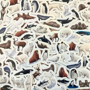 May include: A collection of animal stickers featuring various arctic and marine creatures. The stickers include polar bears, penguins, seals, whales, and reindeer. The stickers are white with detailed illustrations and are scattered across the image.